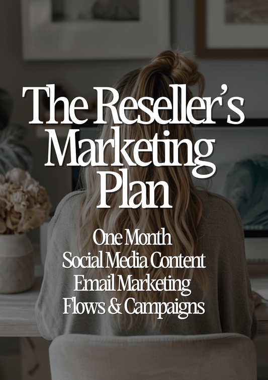 The Reseller’s Marketing Plan - Evolving Earnings